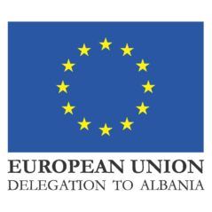EU delegation logo 239x